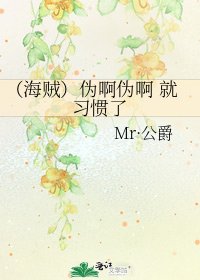 《(海贼)伪啊伪啊 就习惯了》