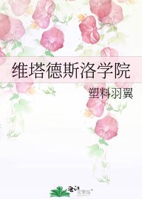 《维塔德斯洛学院》