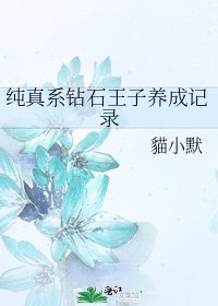 《纯真系钻石王子养成记录》