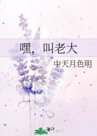 《嘿,叫老大》