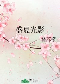 《盛夏光影》