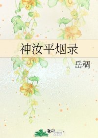 《神汝平烟录》