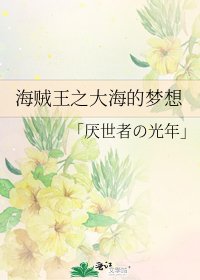《海贼王之大海的梦想》