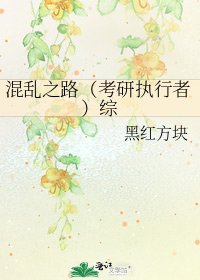 《混乱之路(考研执行者)综》