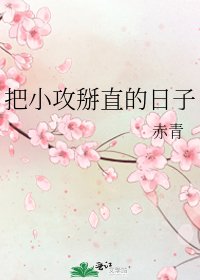 《把小攻掰直的日子》