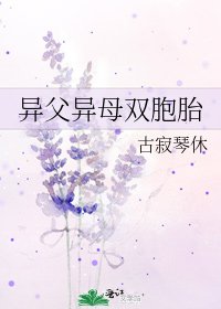 《异父异母双胞胎》