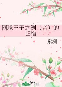 《网球王子之洌(音)的归宿》