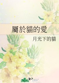 《屬於貓的愛》