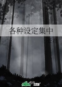 《各种设定集中》