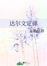 《达尔文定律》