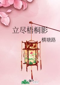 《立尽梧桐影》