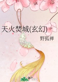 《天火焚城(玄幻)》