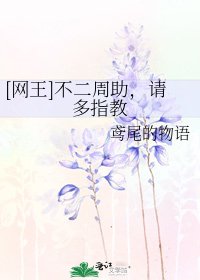 [网王]不二周助，请多指教