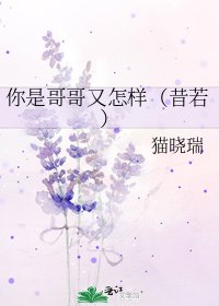 《你是哥哥又怎样(昔若)》