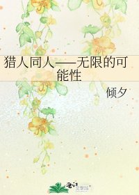 《猎人同人——无限的可能性》