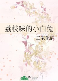 《荔枝味的小白兔》