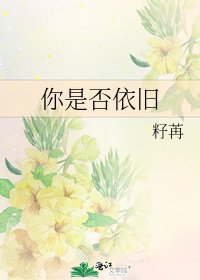 你是否依旧