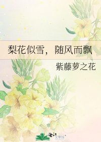《梨花似雪,随风而飘》