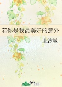《若你是我最美好的意外》