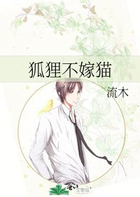 《狐狸不嫁猫》