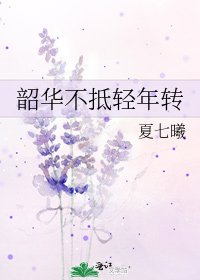 韶华不抵轻年转