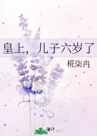 《皇上,儿子六岁了》