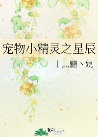 《宠物小精灵之星辰》