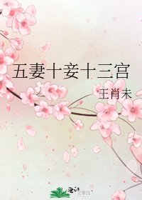 《五妻十妾十三宫》