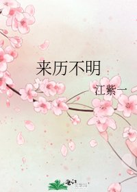 《来历不明》