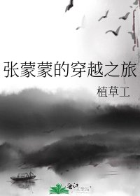 《张蒙蒙的穿越之旅》