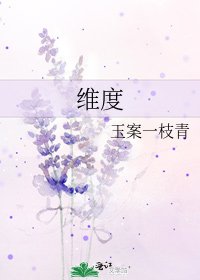 《维度》