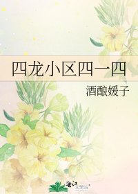 《四龙小区四一四》