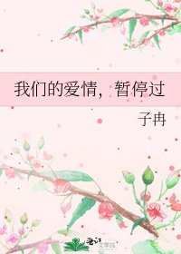 《我们的爱情,暂停过》