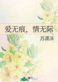 《爱无痕,情无际》