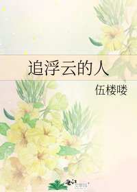《追浮云的人》