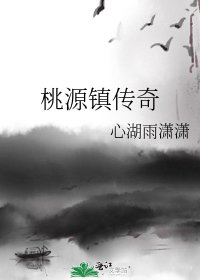 《桃源镇传奇》