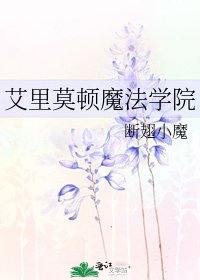 《艾里莫顿魔法学院》