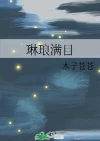《琳琅满目》