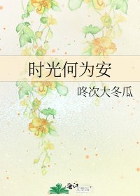 《时光何为安》