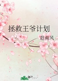 《拯救王爷计划》
