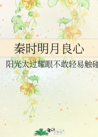 《秦时明月良心》
