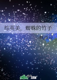 综英美，蜘蛛的竹子