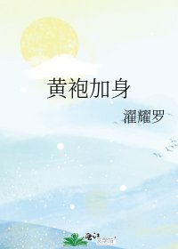 《黄袍加身》