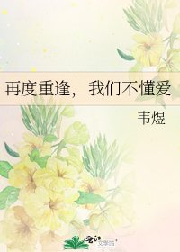 《再度重逢,我们不懂爱》