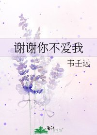 《谢谢你不爱我》