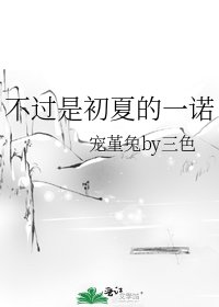 《不过是初夏的一诺》