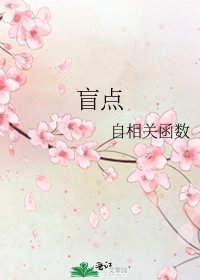 《盲点》