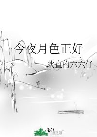 《今夜月色正好》