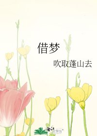 借梦