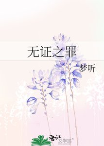 《无证之罪》